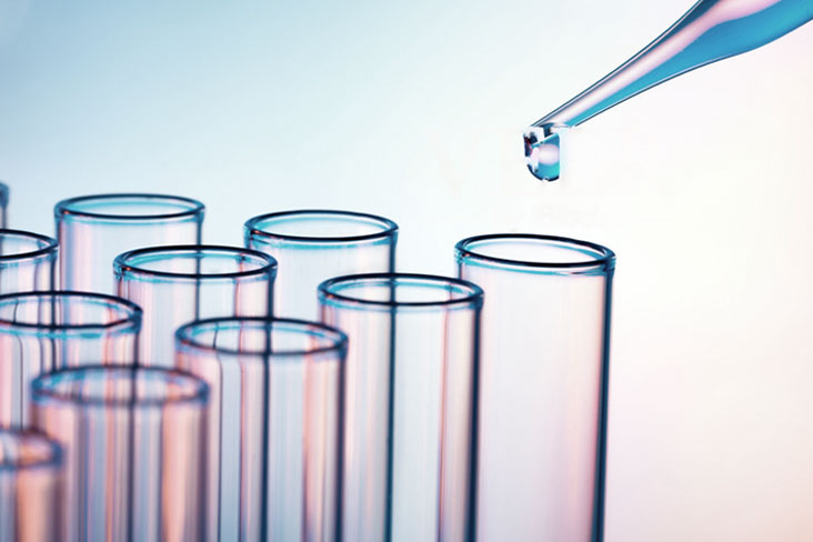 Transnational Interdisciplinary R&D