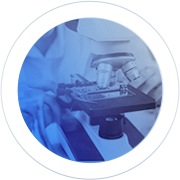 Transnational Interdisciplinary<br>R&D