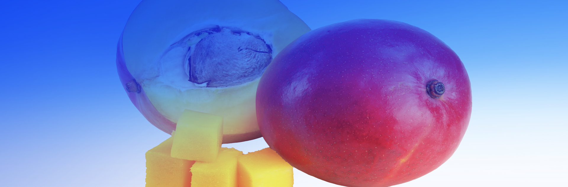 Mango Extract