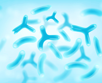 novonesis probiotics