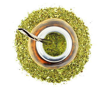 Yerba Mate