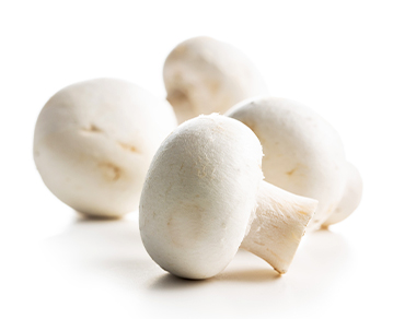 Agaricus bisporus Extract