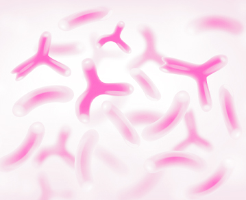 women’s urogenital Probiotics