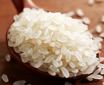 Rice bran oil powder