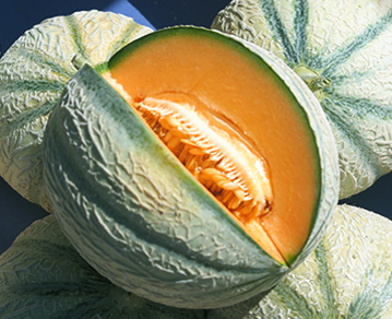Cucumis melo Extract