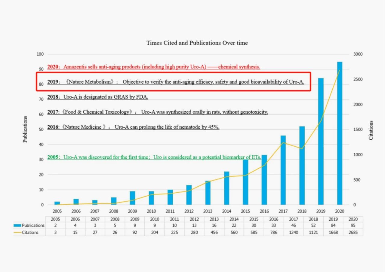 抗衰新研究|Pomella®石榴提取物可改善线粒体功能，延缓衰老(图3)