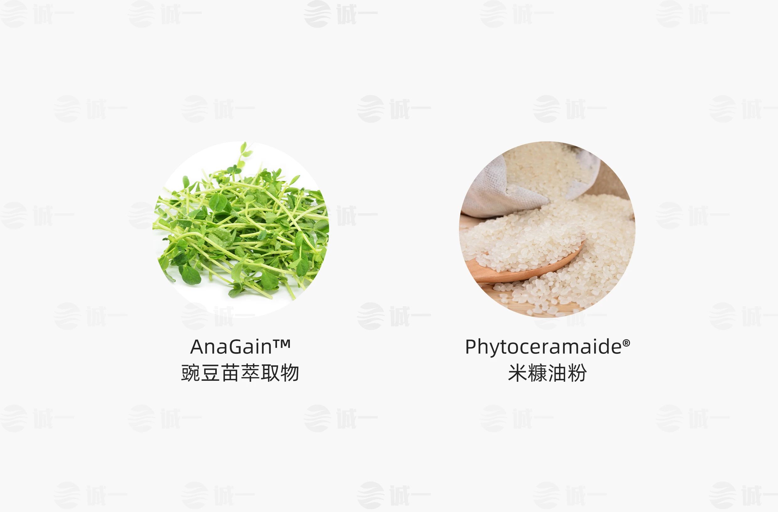 破防脱市场同质化套路，看小小豌豆苗如何拿捏2.5亿脱发人群！(图9)