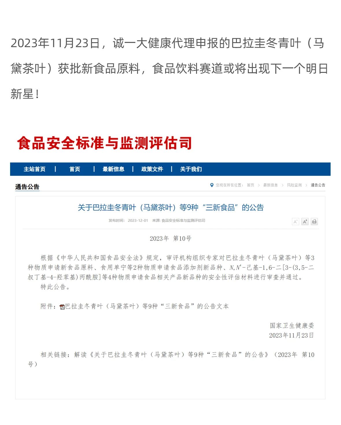 马黛茶获批新食品原料，大健康产业能否迎来新升级？(图1)
