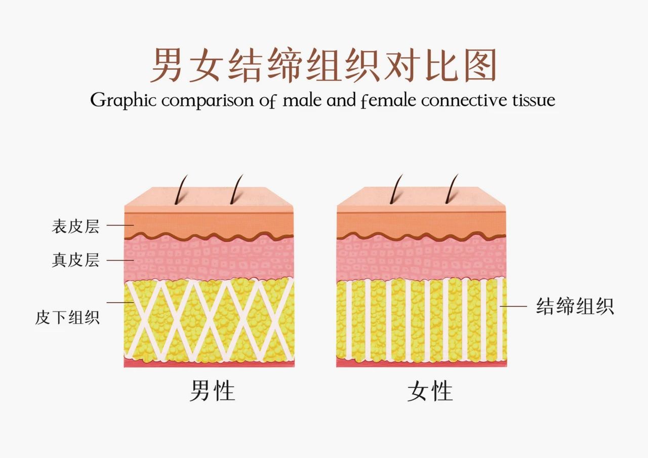 凯时人生就是博重磅引进新型体控原料！(图3)