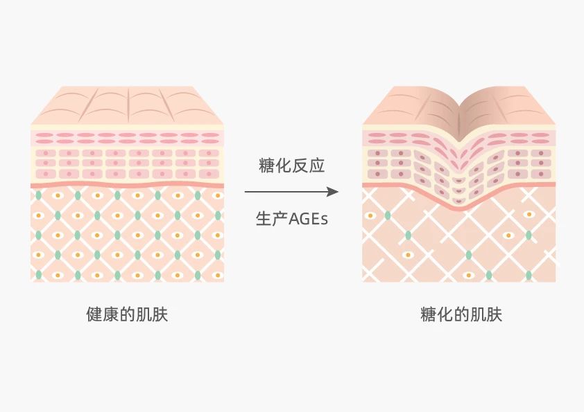 盘点凯时人生就是博多向抗衰成分，全面开启口服抗衰赛道新解法！(图7)