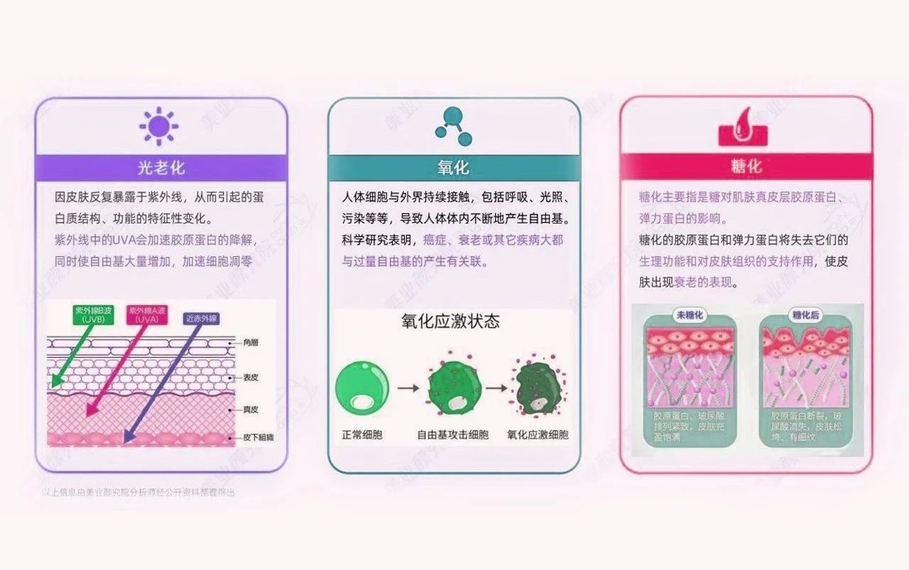 顶配科研背书，破译抗糖护肤增长密码！(图14)